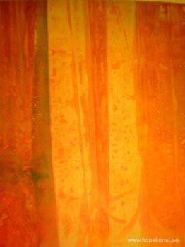 Rosa Flutter Rosa Flutter