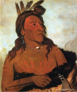 Lilla björnen, Hunkpapa Brave