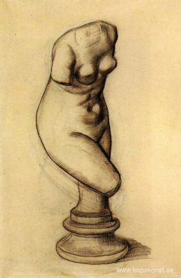 Venus torso