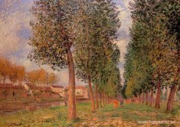 Poplar Avenue i Moret, molnig dag, morgon