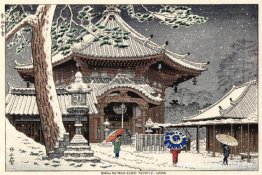 Snö vid Nan-endo-templet, Nara