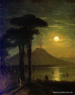 Neapelbukten på månbelyst natt. Vesuvius