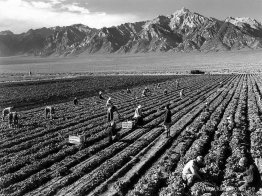 Gård, lantarbetare, Mount Williamson i bakgrunden, Manzanar Relo