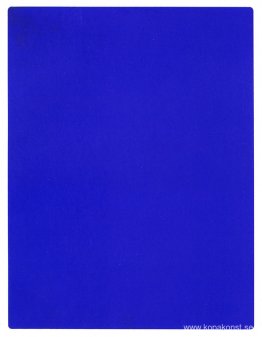 International Klein Blue