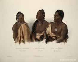 En Missouri-indian, en Oto-indian och Chief of the Puncas, skylt