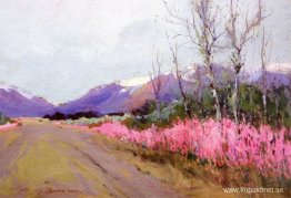 Fireweed Lane