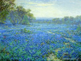 Bluebonnet-scen