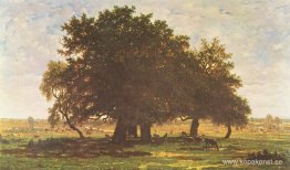 Holm Oaks, Apremont