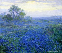 En molnig dag, Bluebonnets nära San Antonio, Texas