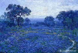 Bluebonnet-scen