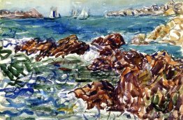 Rocky Cove med by