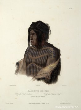 Mahsette-Kuiuab, Chief of the Cree Indians, skylt 22 från volym