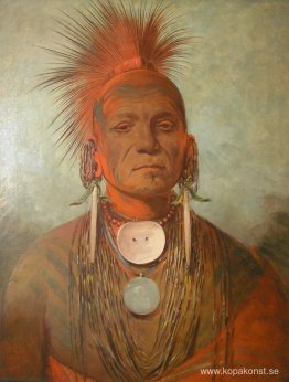 See-non-ty-a, en Iowa Medicine Man