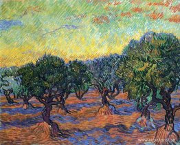 Olive Grove - Orange Sky