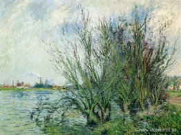 Willows, Banks of the Oise