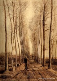 Avenue of Poplars