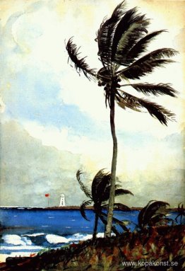 Palm, Nassau