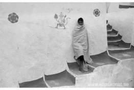 Steg i en lantlig by, Rajasthan