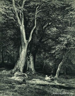 Skog