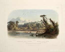 Punka Indians Encamped on the Banks of the Missouri, skylt 11 fr