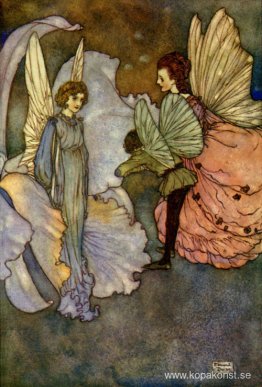 Princess Orchid's Party - illustration till Fairies I Have Met