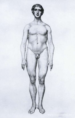 Studie av den mänskliga figuren, anterior View, från "En jämföra