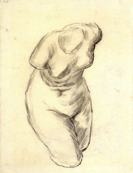 Venus torso