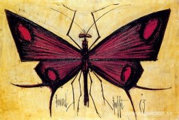 Le Museum: Le papillon rouge