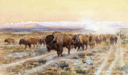 The Bison Trail