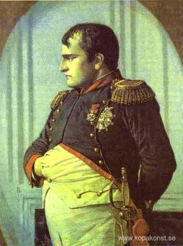 Napoleon i Petroffpalatset