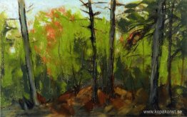 Woodland Scene, Monhegan, Maine