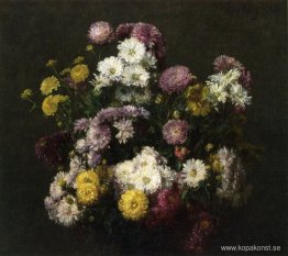 Blommor, krysantemum