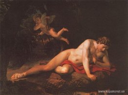 Narcissus