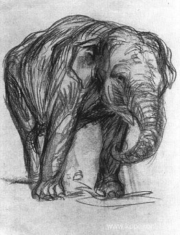 Elefant