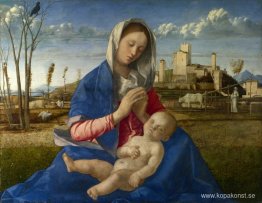 Madonna of the Meadow (Madonna del Prato)