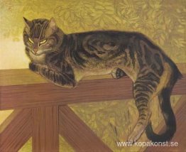 Sommaren - Cat On A Balustrade