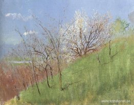 Hildside at Springtime (Little Landscape)