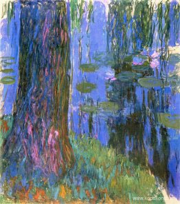 Weeping Willow och Water-Lily Pond