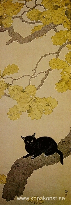 Svart katt (Kuroki Neko)